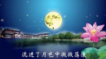 夜色温柔,探寻都市光影下的情感世界  第2张