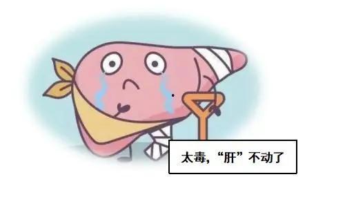 小心肝儿,揭秘现代都市女性的情感守护神  第3张