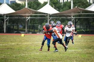 橄榄球之梦,追逐激情与荣耀的青春篇章