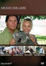 棕榈之风,探寻热带风情与自然和谐共生的奥秘  第1张