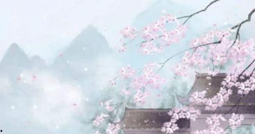 待梨花落尽,春意渐浓  第3张