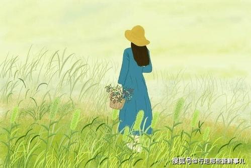 心不在焉的爱,探寻情感迷失的轨迹  第2张