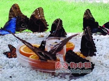 破茧成她,女性成长与蜕变之路 第1张 破茧成她,女性成长与蜕变之路 第1张