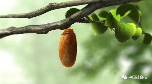 破茧成她,女性成长与蜕变之路 第2张 破茧成她,女性成长与蜕变之路 第2张